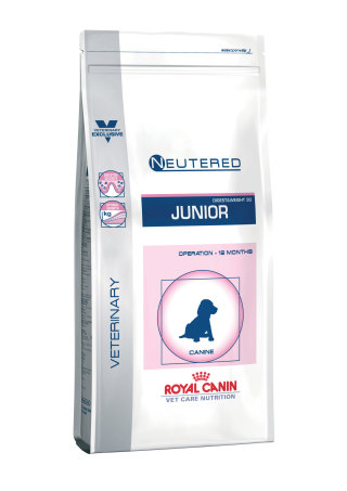 Neutered junior